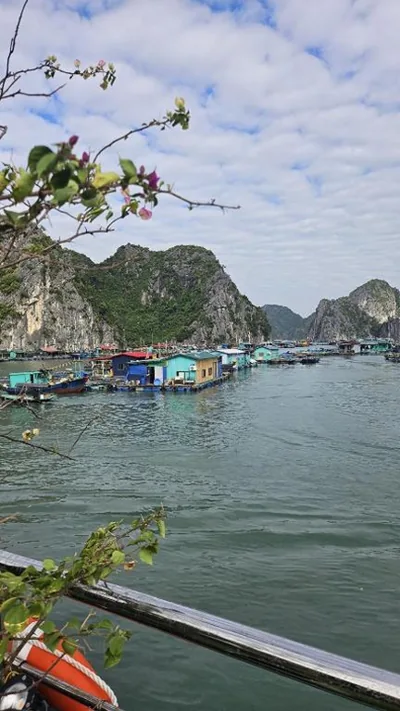 Cat Ba Nam Phong Hotel – 照片 7