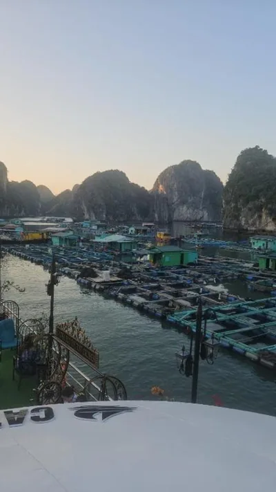 Cat Ba Nam Phong Hotel – 照片 8
